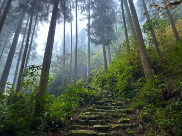 280+ Kumano Kodo Pilgrimage Trail Stock Photos, Pictures & Royalty ...